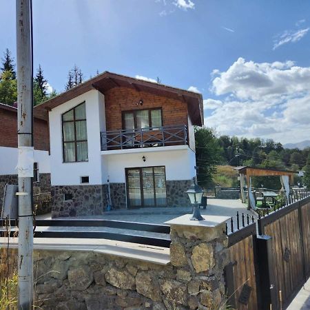 Villa In Mountains Bakuriani Exterior photo