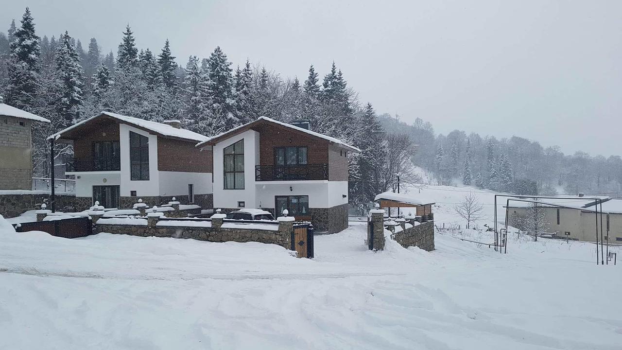 Villa In Mountains Bakuriani Exterior photo