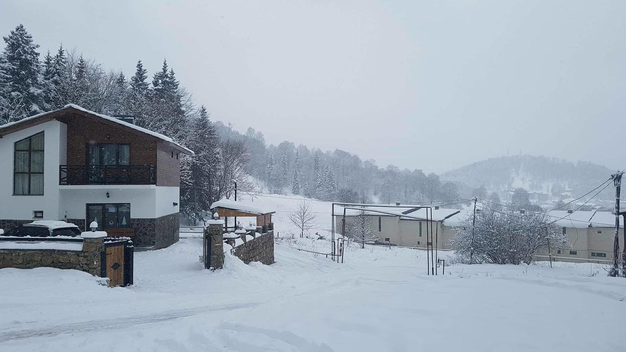 Villa In Mountains Bakuriani Exterior photo